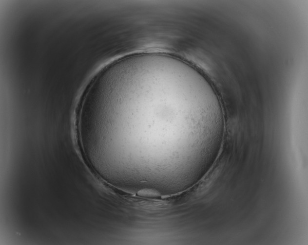X0000088651470200705251451