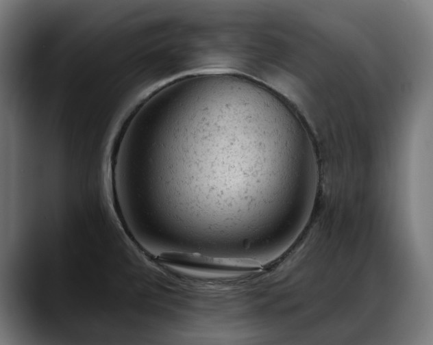 X0000088651472200705251451