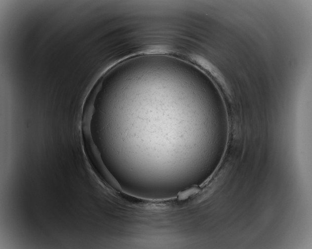 X0000088651473200705251451