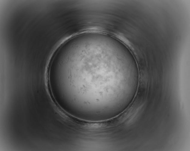X0000088651474200705251451