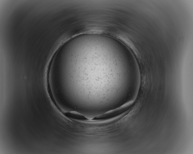 X0000088651475200705251451