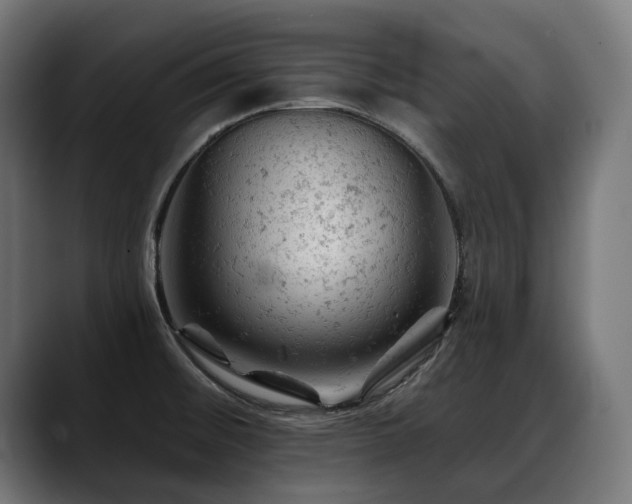 X0000088651476200705251451