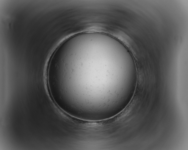 X0000088651478200705251451