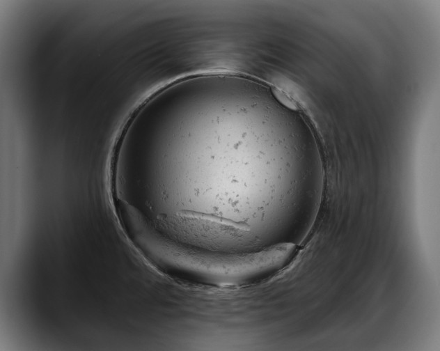 X0000088651480200705251451