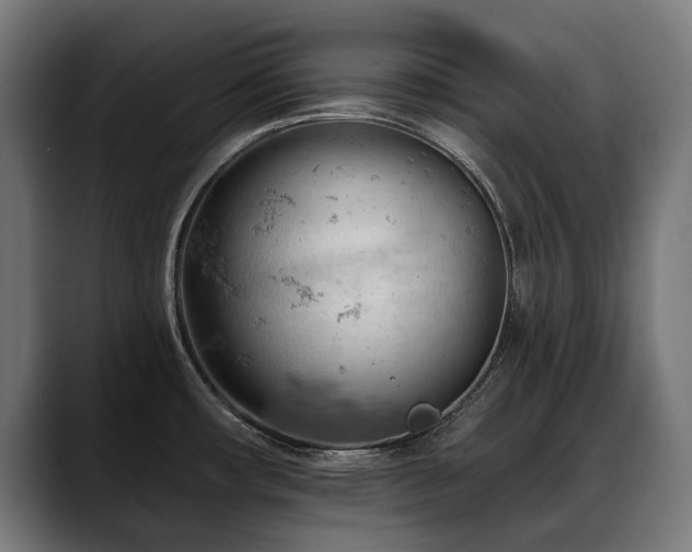 X0000088651482200705251451