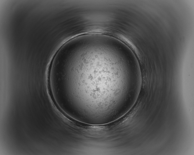 X0000088651483200705251451