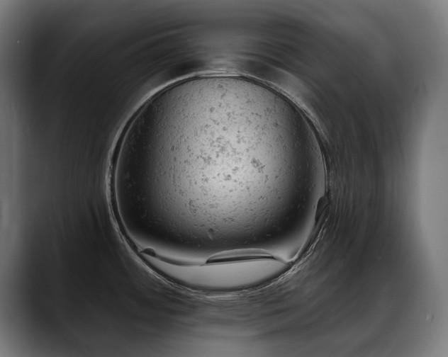 X0000088651484200705251451