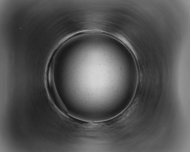 X0000088651485200705251451