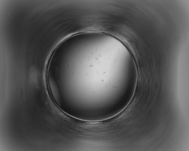 X0000088651486200705251451