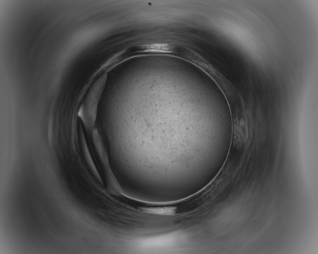 X0000088651487200705251451