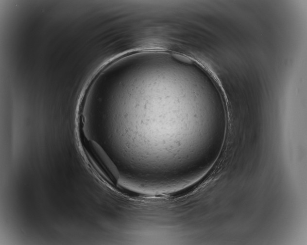 X0000088651488200705251451