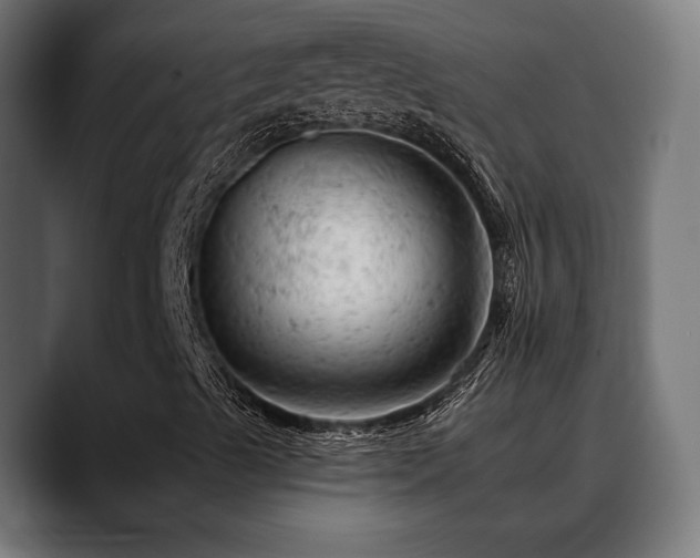X0000088651489200705251450