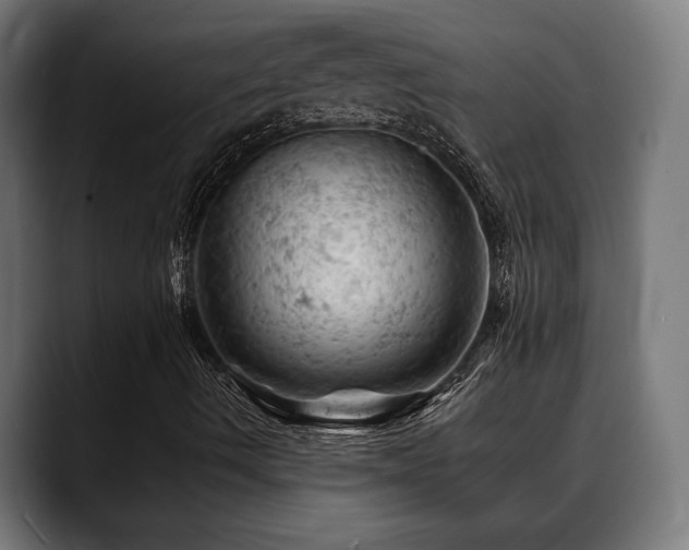 X0000088651490200705251450