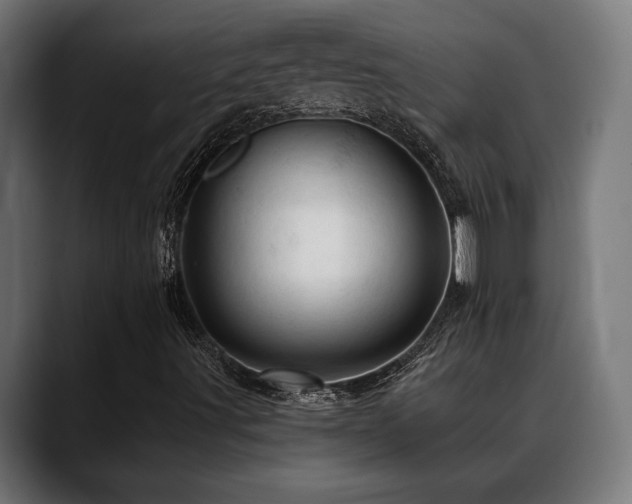 X0000088651491200705251450