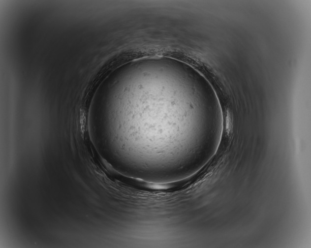 X0000088651492200705251450
