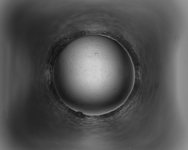 X0000088651493200705251450
