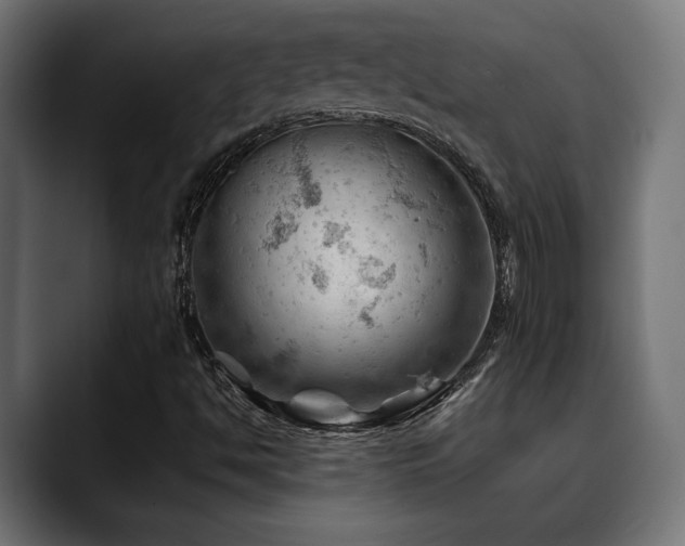 X0000088651494200705251450