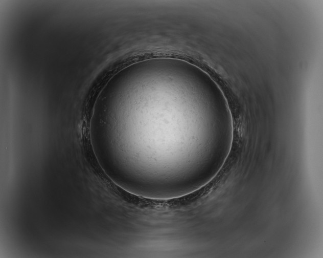 X0000088651495200705251450