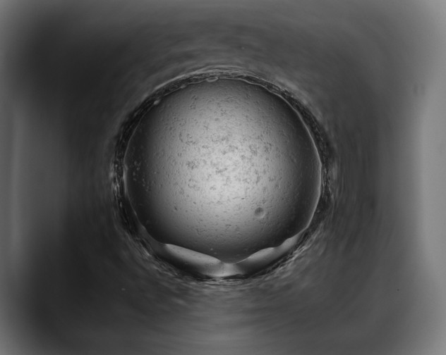 X0000088651496200705251450