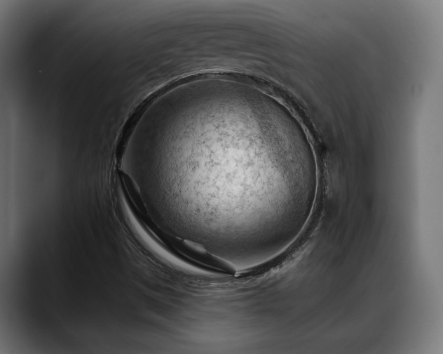 X0000088651497200705251450
