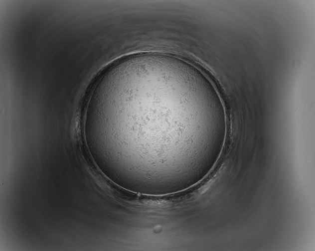 X0000088651498200705251450