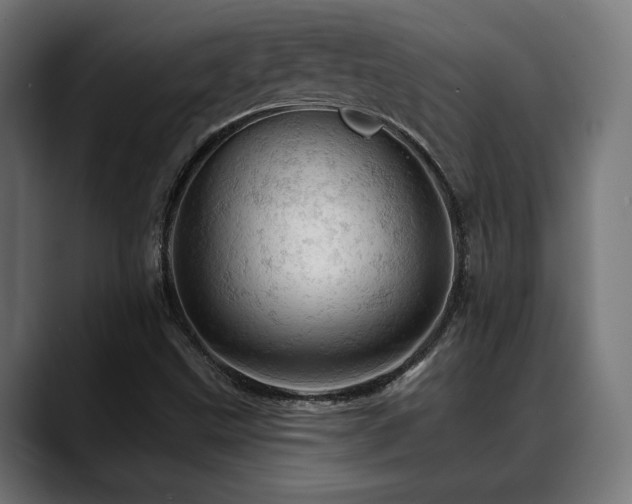 X0000088651499200705251450
