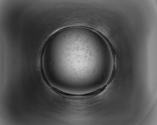 X0000088651500200705251450