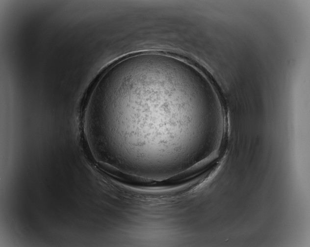 X0000088651501200705251450