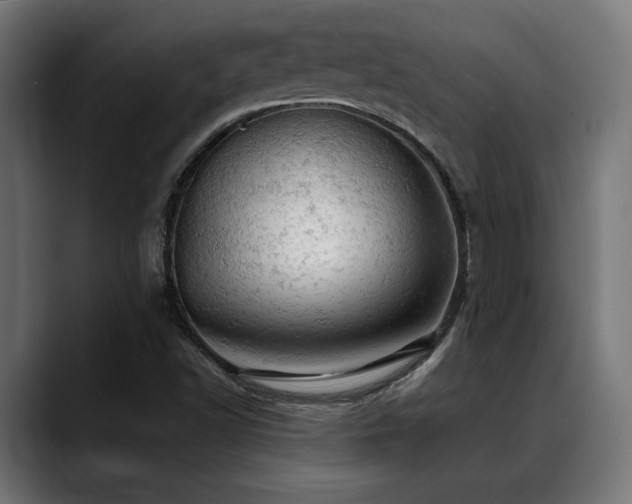 X0000088651502200705251450