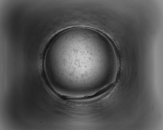 X0000088651503200705251450