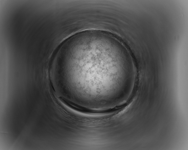 X0000088651505200705251450