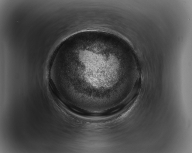 X0000088651506200705251450