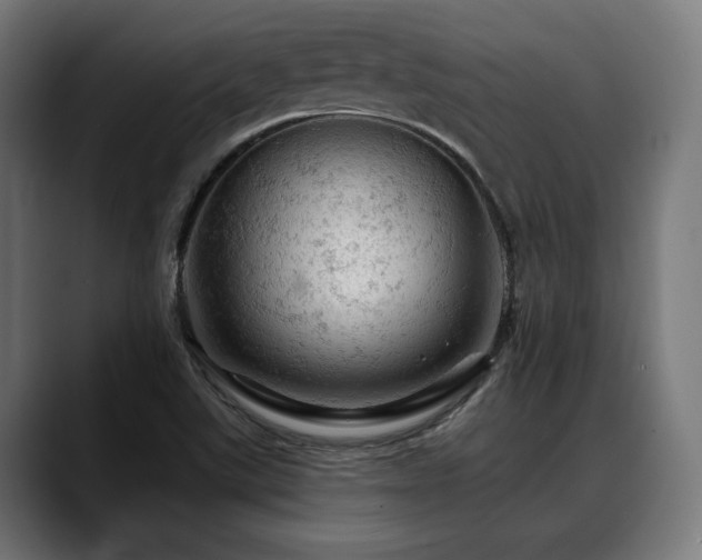 X0000088651507200705251450