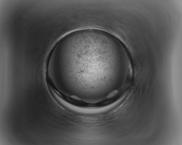 X0000088651508200705251450