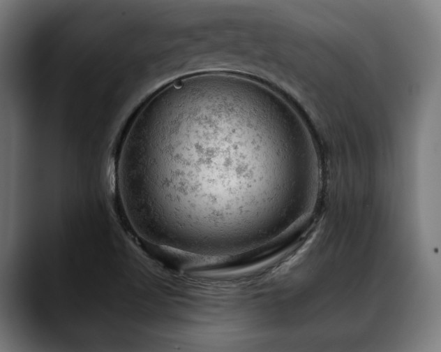 X0000088651509200705251450