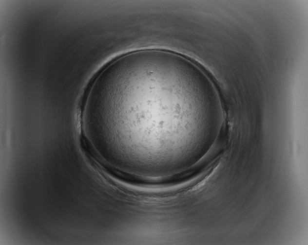 X0000088651510200705251450
