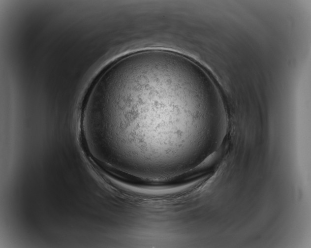 X0000088651511200705251450