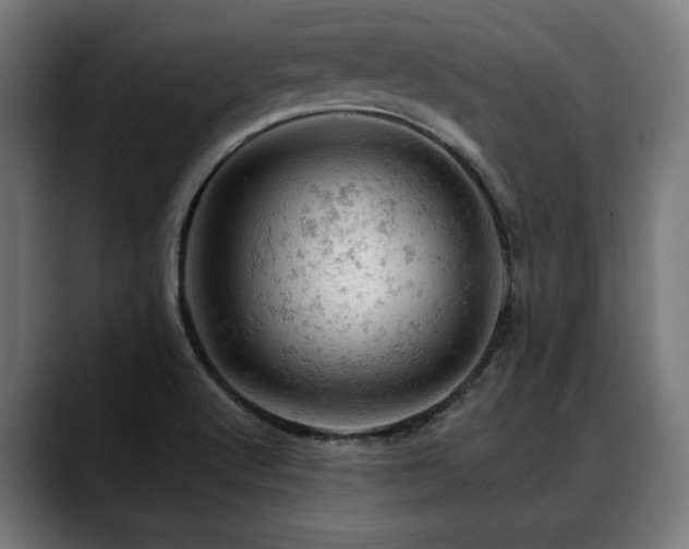 X0000088651512200705251450