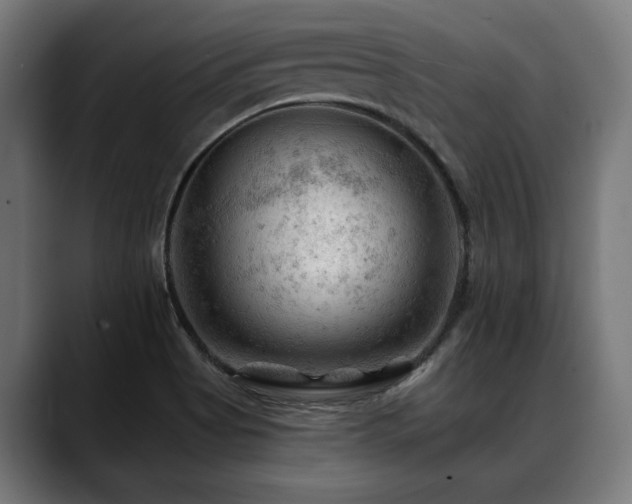 X0000088651513200705251450