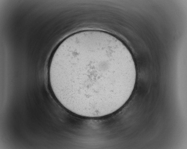 X0000088651514200705251450