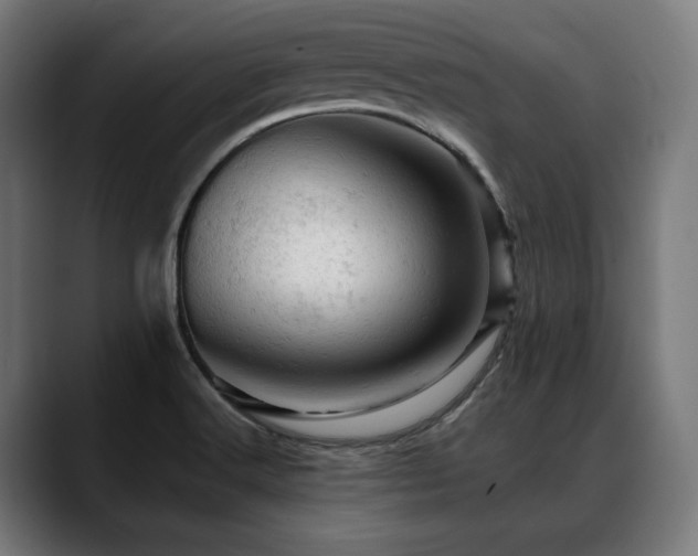 X0000088651516200705251451