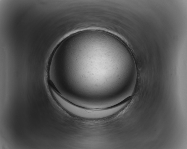 X0000088651518200705251451