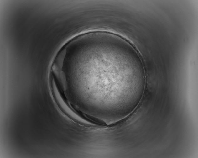 X0000088651519200705251451