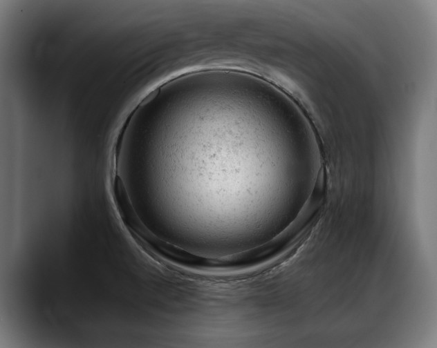 X0000088651520200705251451