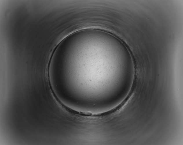 X0000088651521200705251451