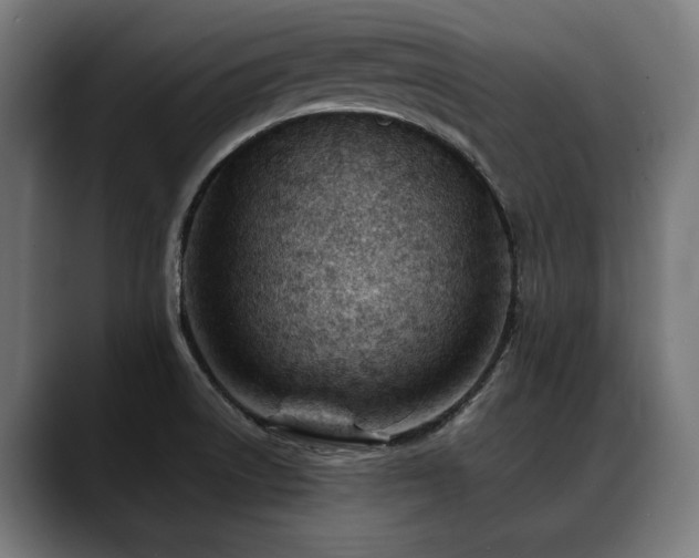 X0000088651522200705251451