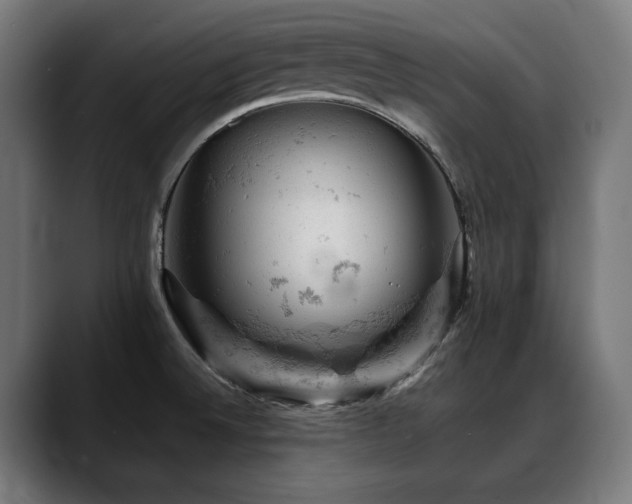 X0000088651524200705251451