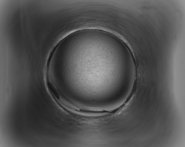 X0000088651525200705251451