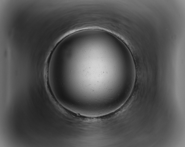 X0000088651526200705251451