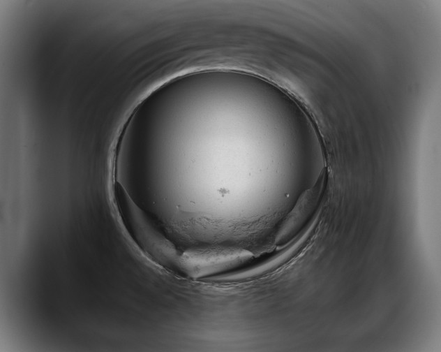 X0000088651528200705251451
